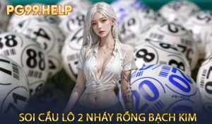 Soi Cầu Lô 2 Nháy Rồng Bạch Kim