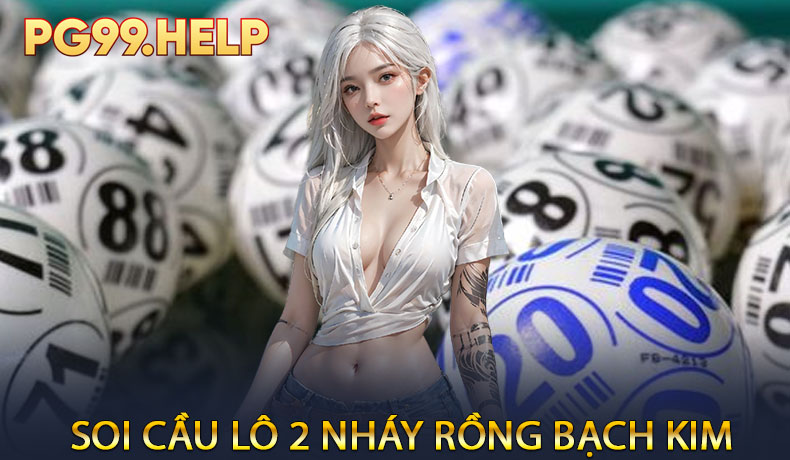 Soi Cầu Lô 2 Nháy Rồng Bạch Kim